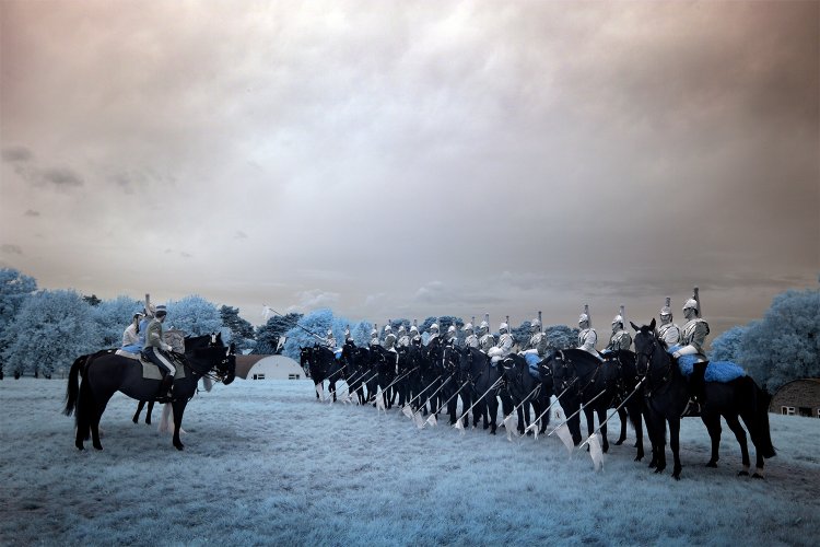 Image of The Cavalry: On Parade