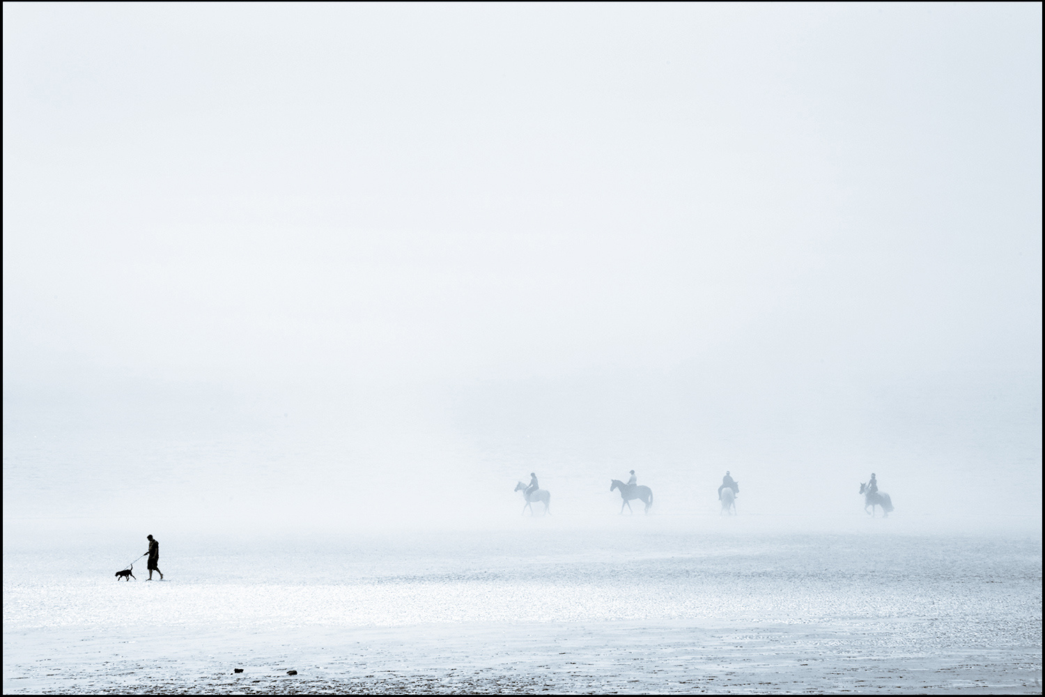 Sea Horses by David Morris