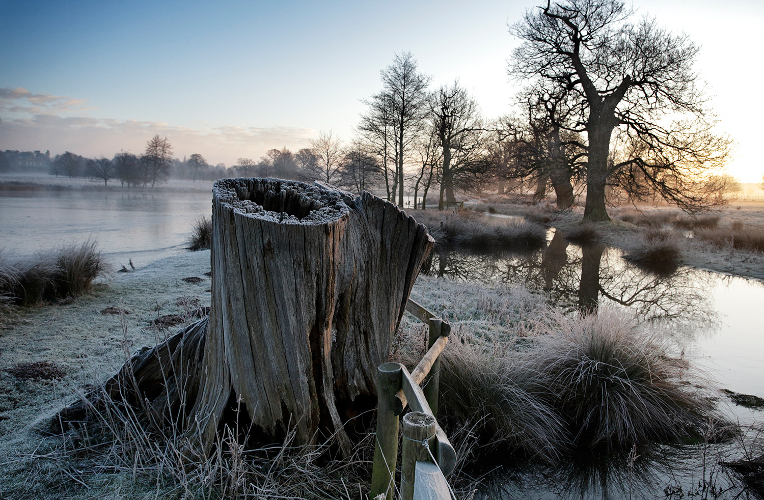 Winter Landscape by David Morris