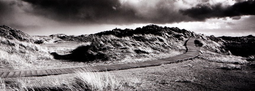 Holkham Dunes 3