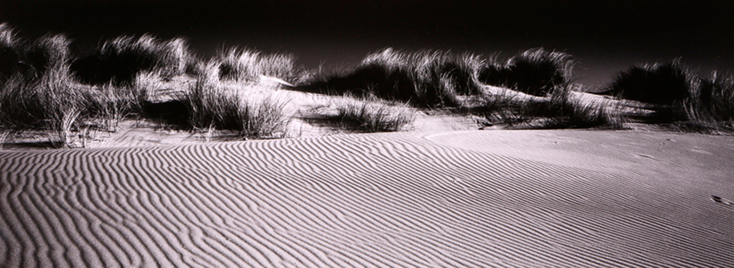 Sand Dunes, Morston by David Hatfull