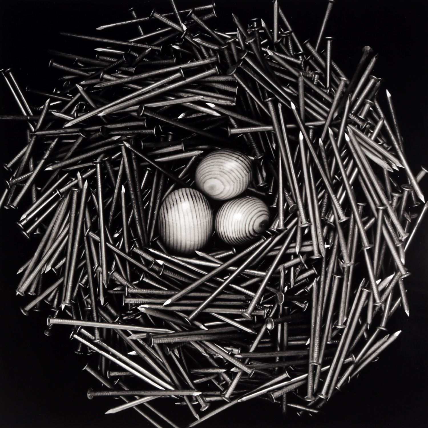 Nest by David Hatfull