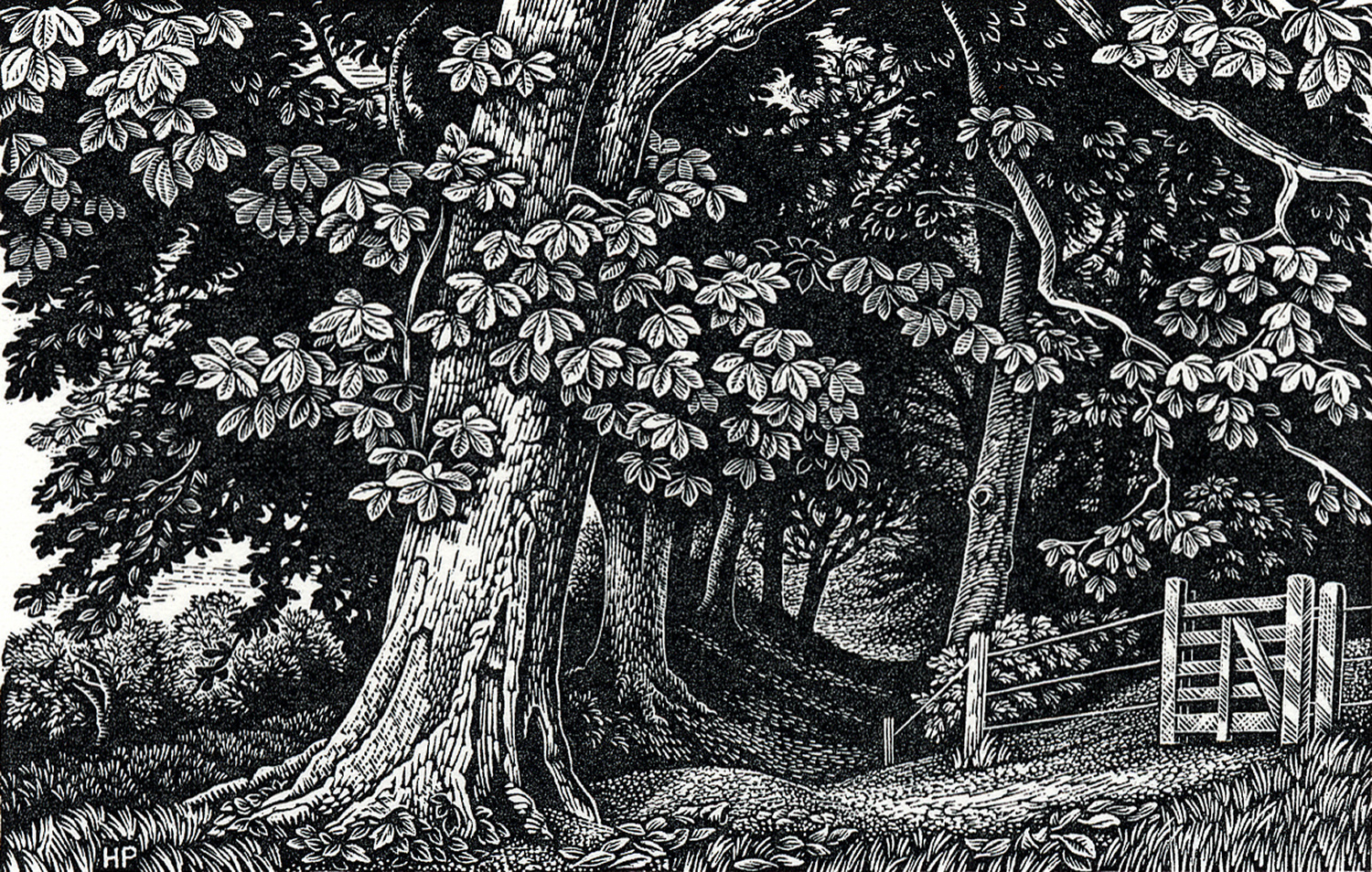 Edge of the Wood, Broadchalke by Howard Phipps