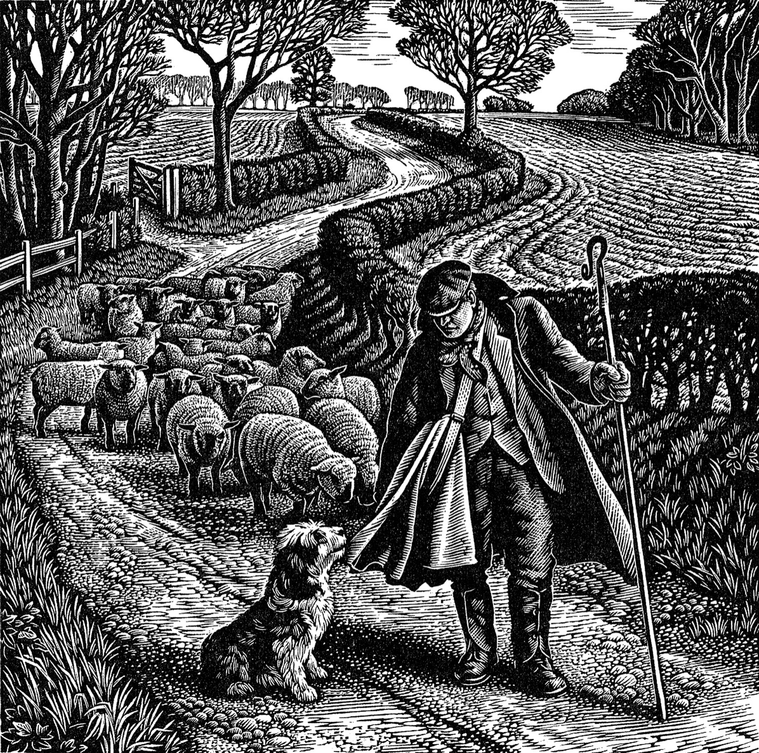 Suffolk Shepherd by Howard Phipps