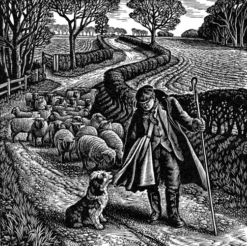 Image of Suffolk Shepherd