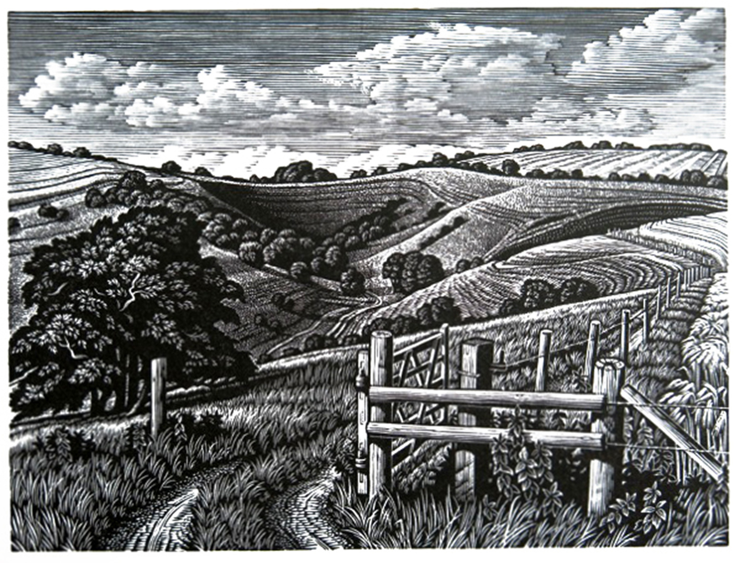 Malacombe Bottom by Howard Phipps