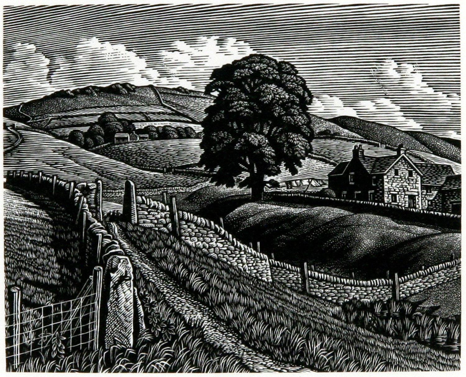 Saltersford, A Moorland Farm by Howard Phipps