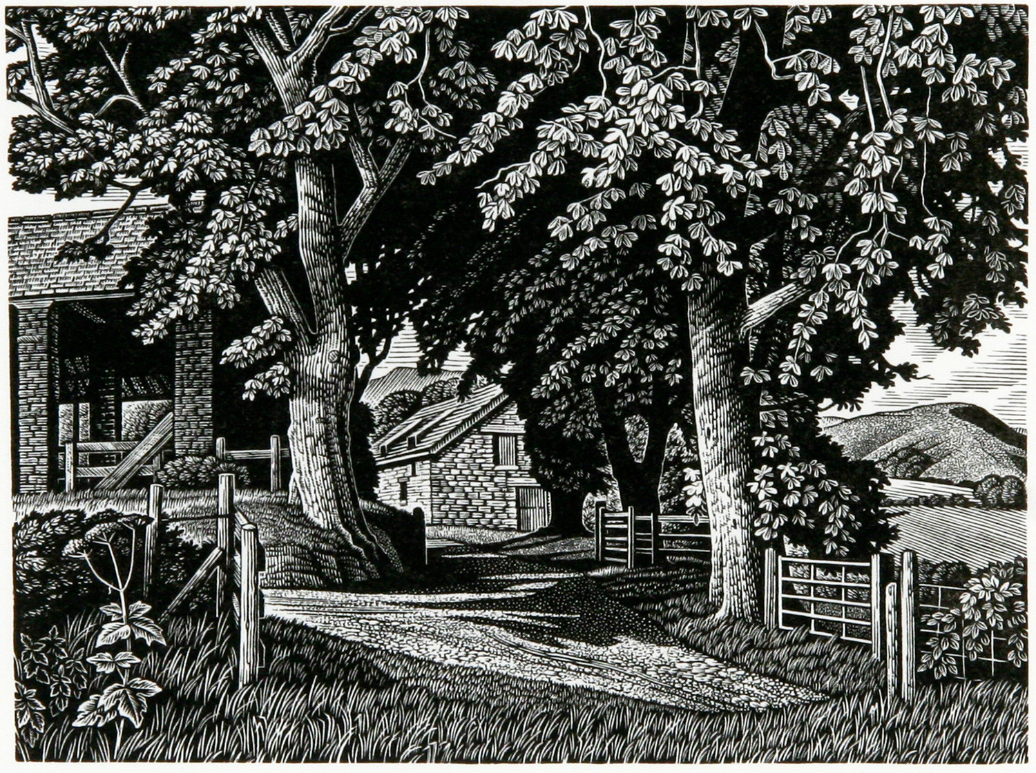 Hill Farm by Howard Phipps