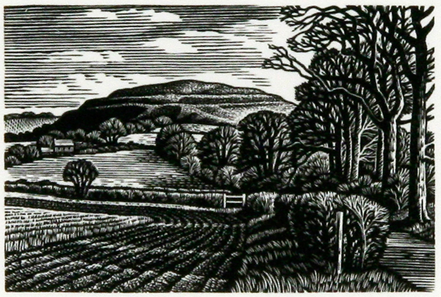 Hambledon Hill in Winter by Howard Phipps