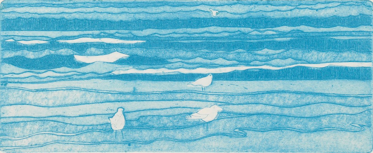 Gulls at Tenby