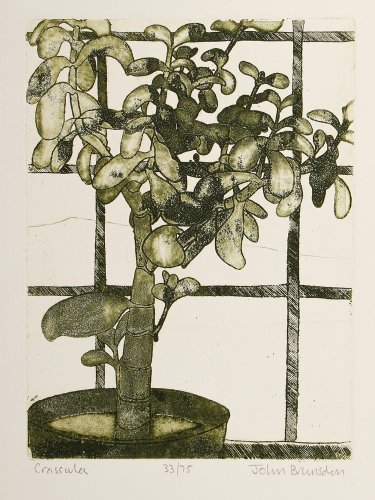 Alternative image