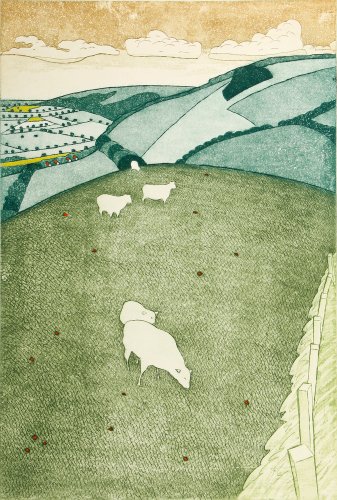 Hill Sheep