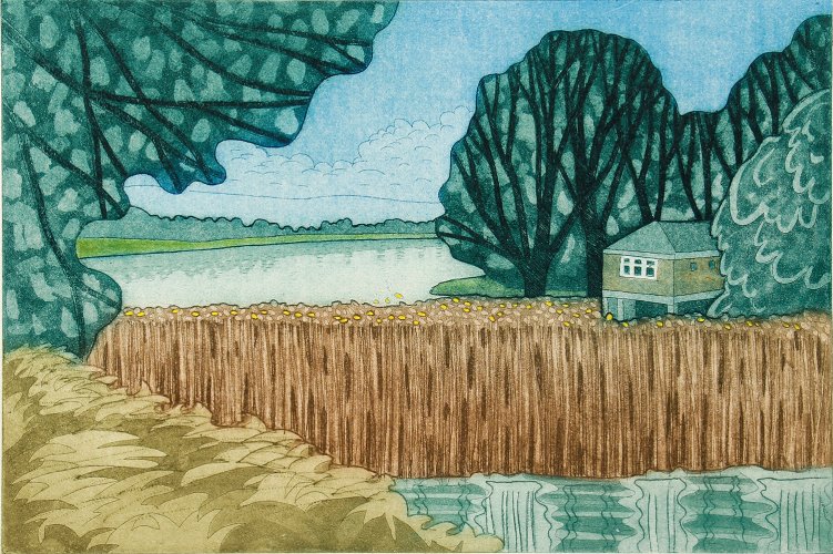 Little Pond, Frensham