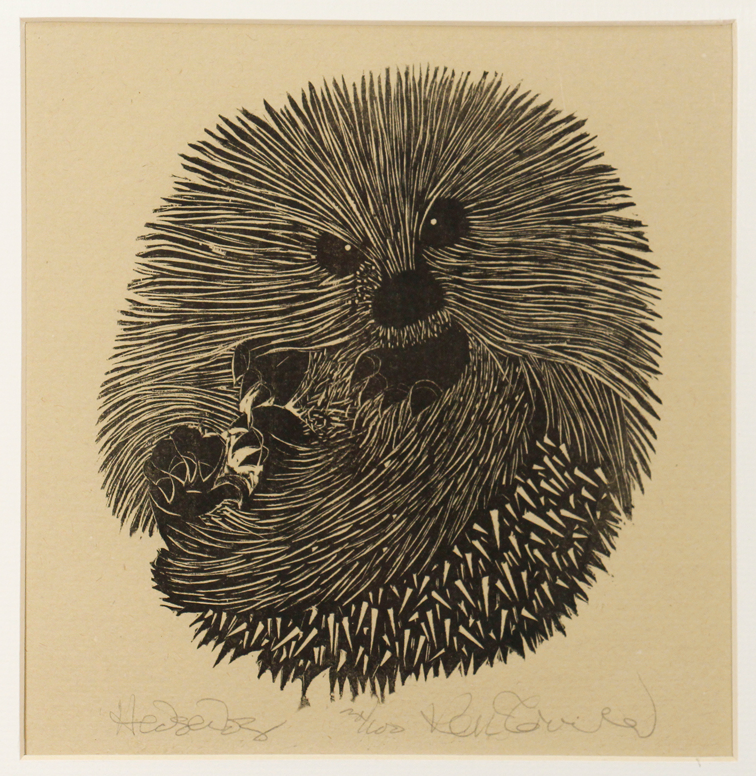 Hedgehog by Ken Townsend