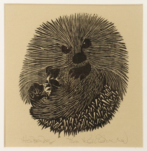 Image of Hedgehog