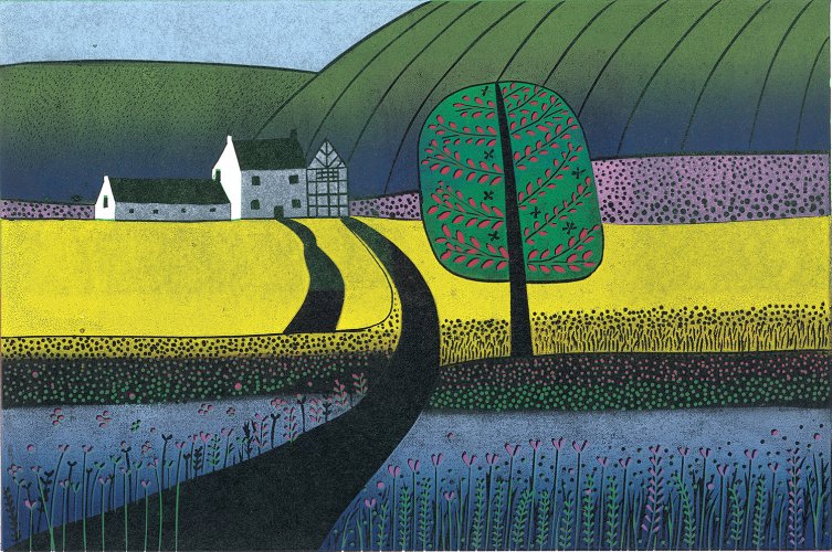 A Walk in Rapeseed Fields