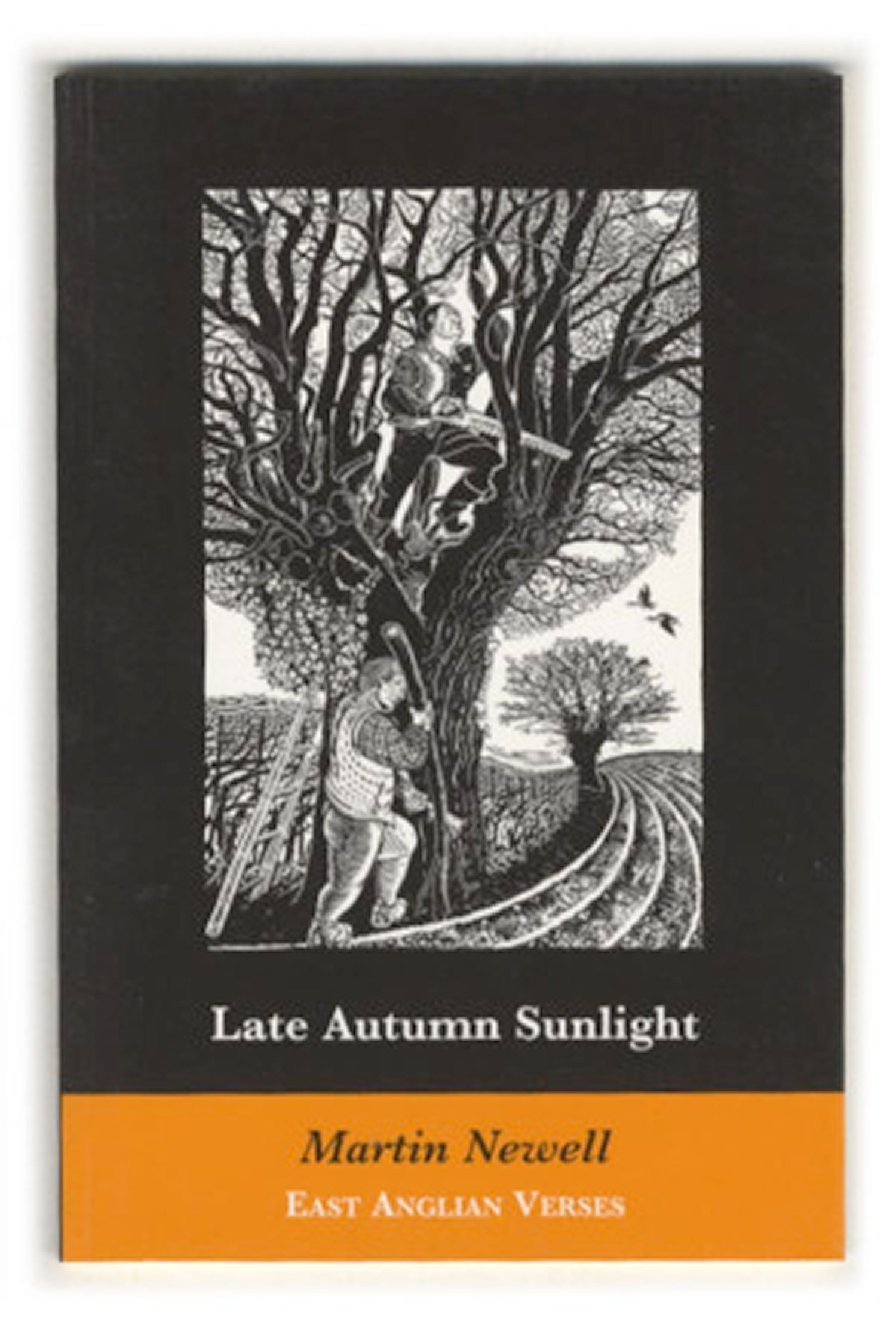 Late Autumn Sunlight by Martin Newell
