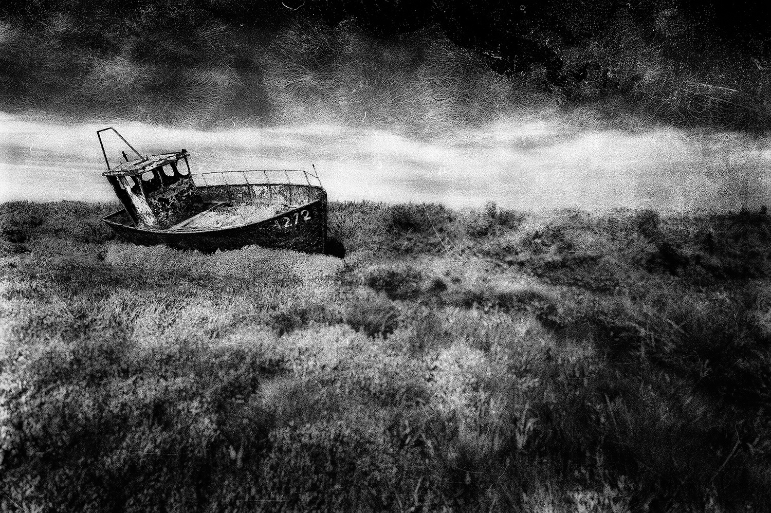 Sea of Grass by Mark Farquharson