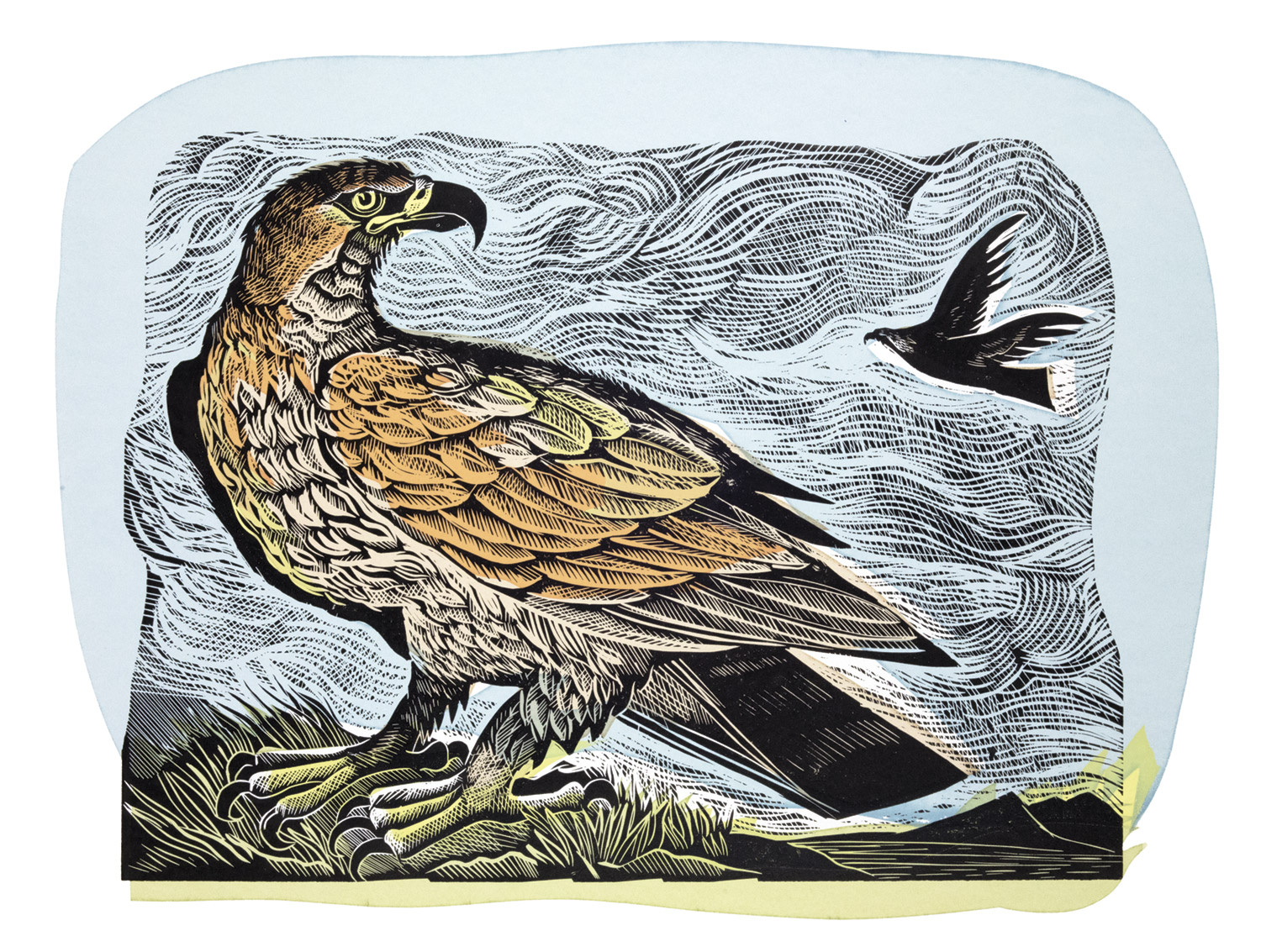 Golden Eagle by Angela Harding