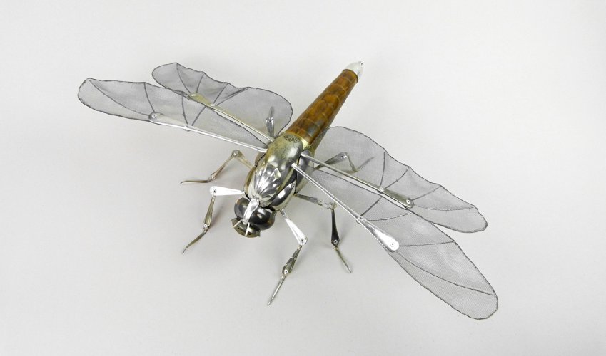 Chaser Dragonfly