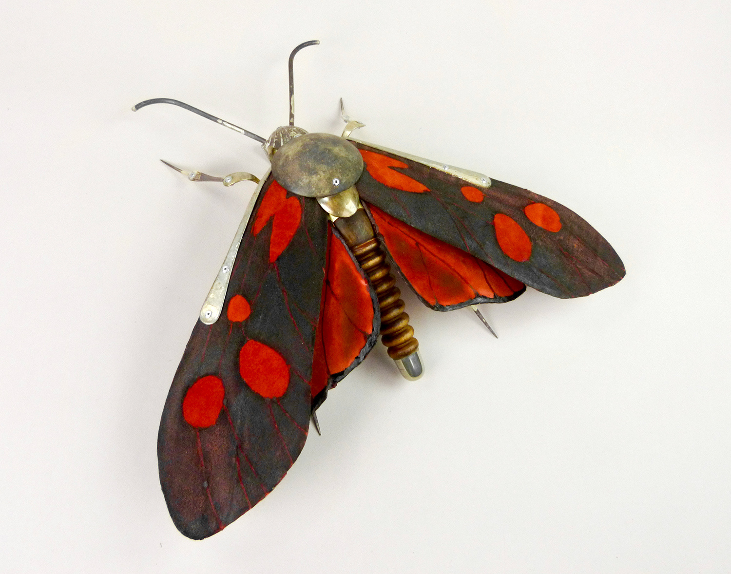Cinnabar Moth by Dean Patman