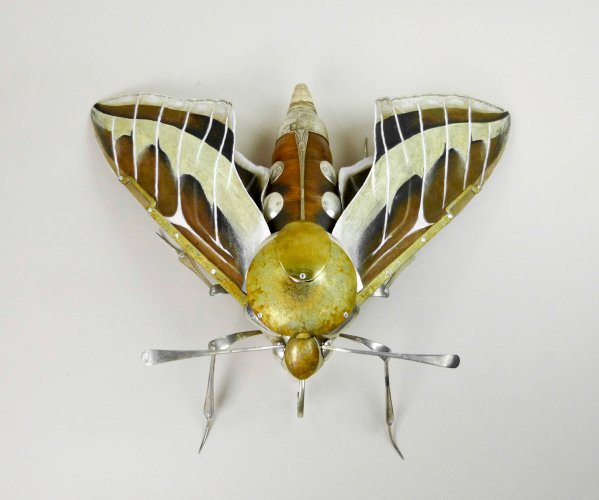 Alternative image