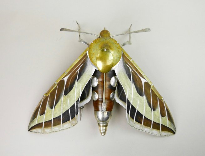 Alternative image