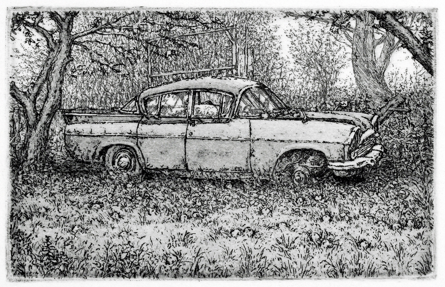 Vauxhall Cresta by Nicholas Ward