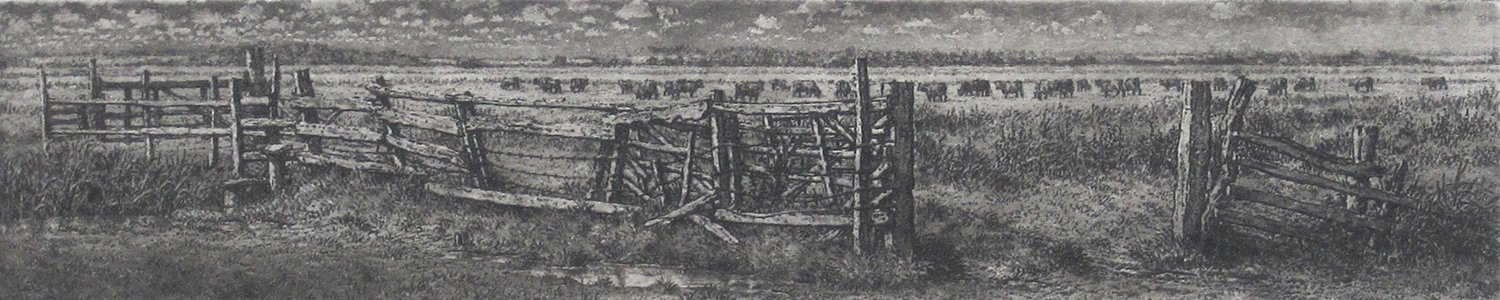 Image of Wooden Fence - Halvergate