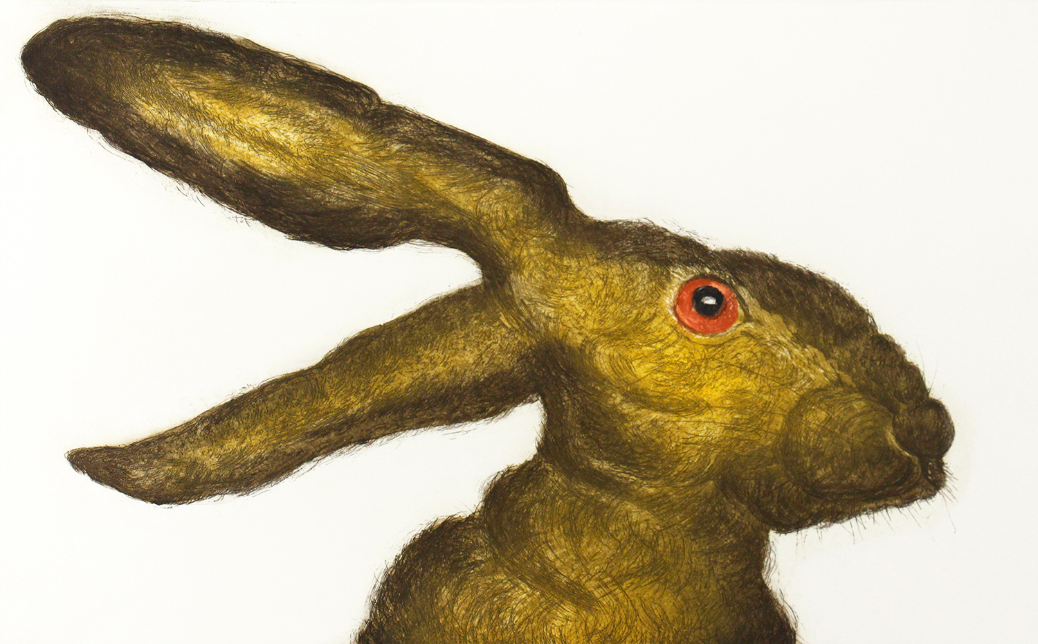 Hare Apparent by Sonia Rollo