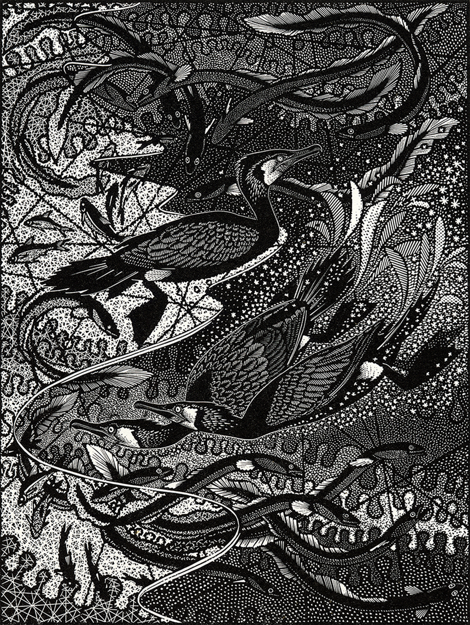 Cormorants & Eels by Colin See-Paynton