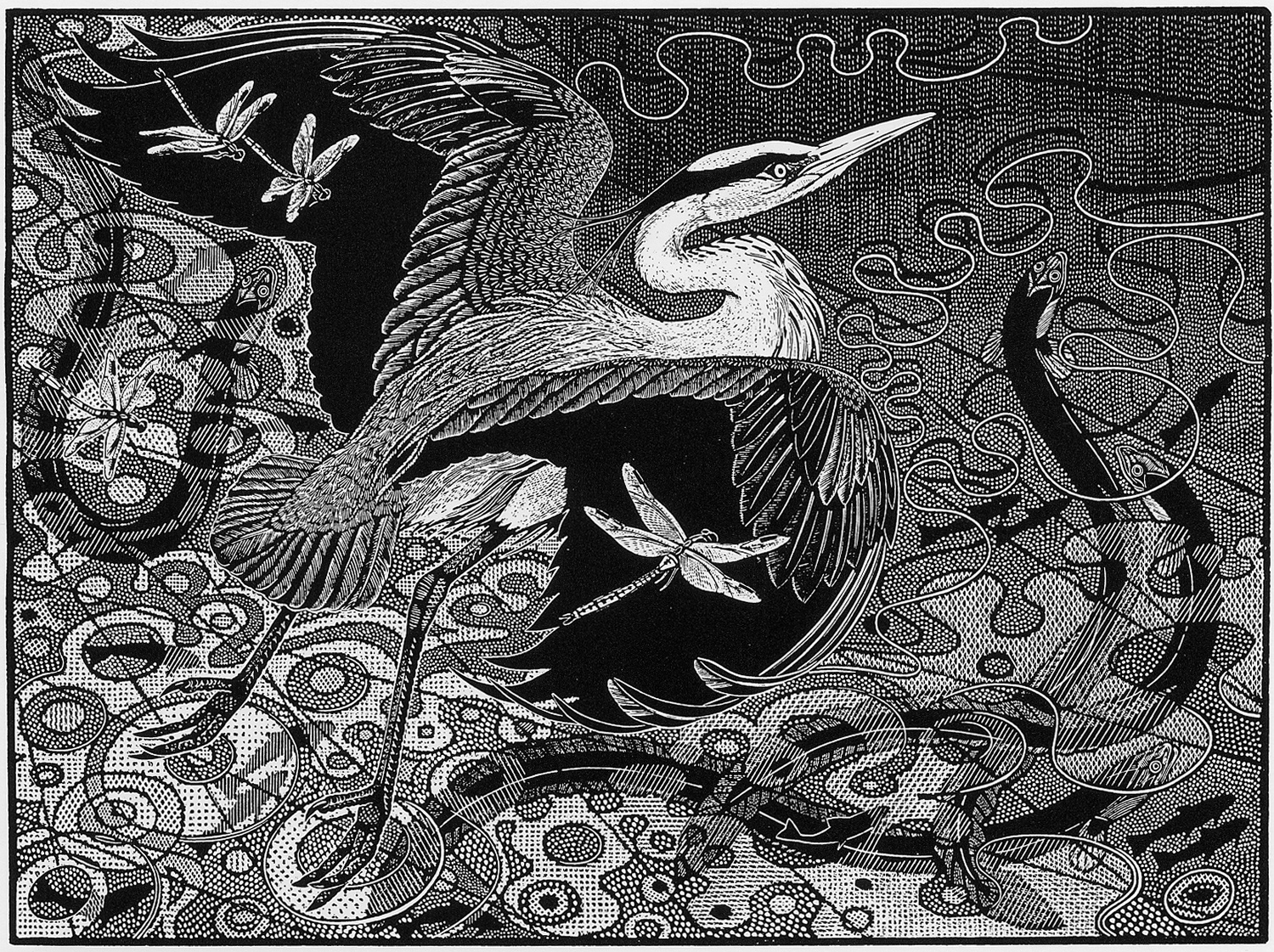 Grey Heron & Eel by Colin See-Paynton
