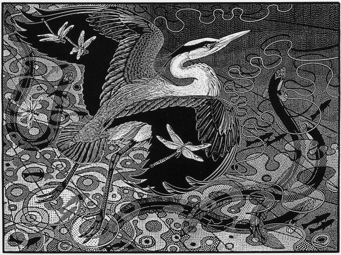 Image of Grey Heron & Eel