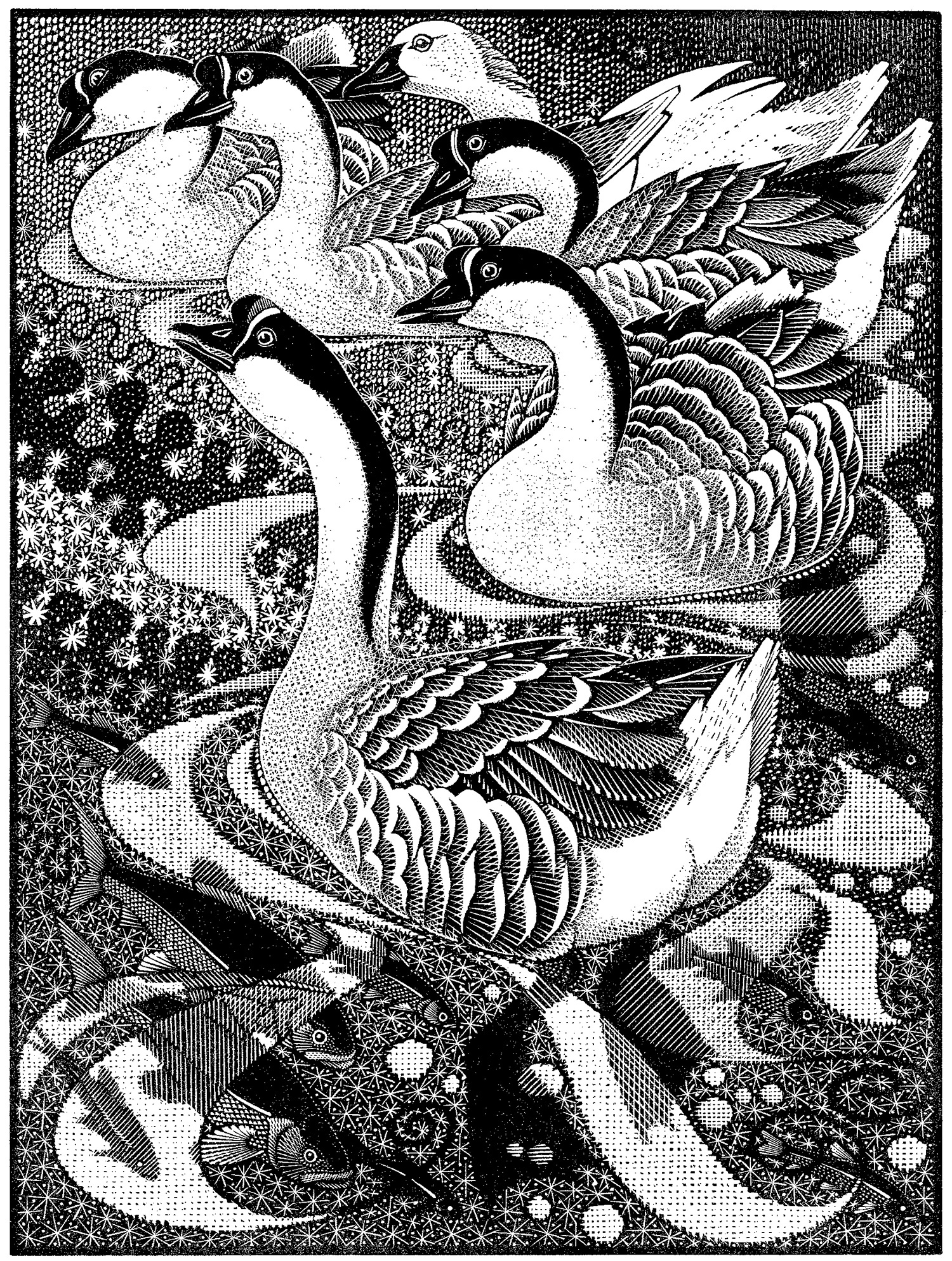 Gaggle of Geese II by Colin See-Paynton