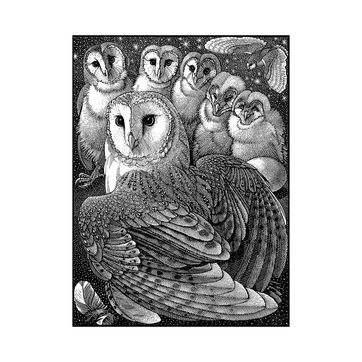 Parliament of Owls by Colin See-Paynton