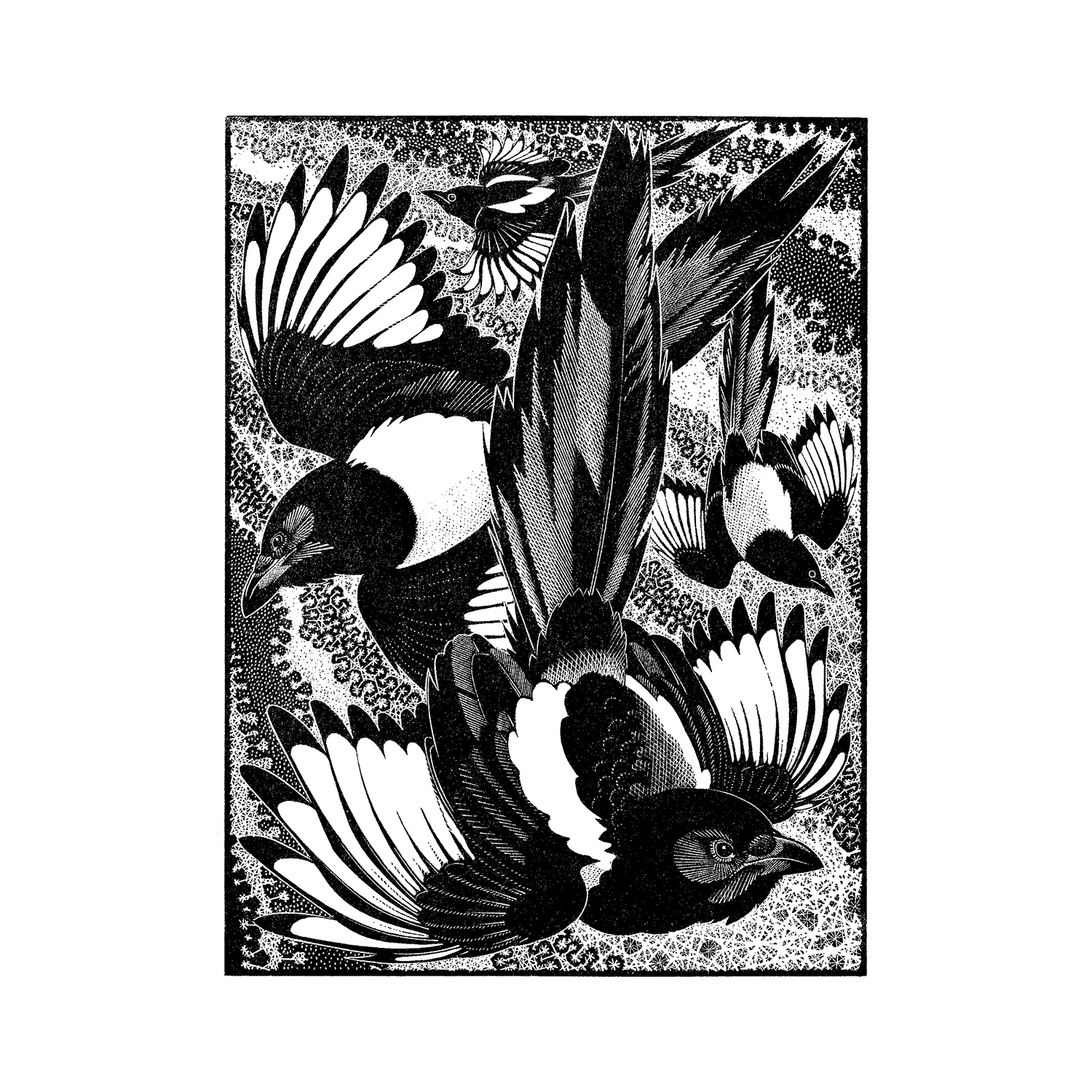 Tiding of Magpies by Colin See-Paynton