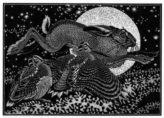 Image of Nocturnal Encounters-Hare and Woodcocks