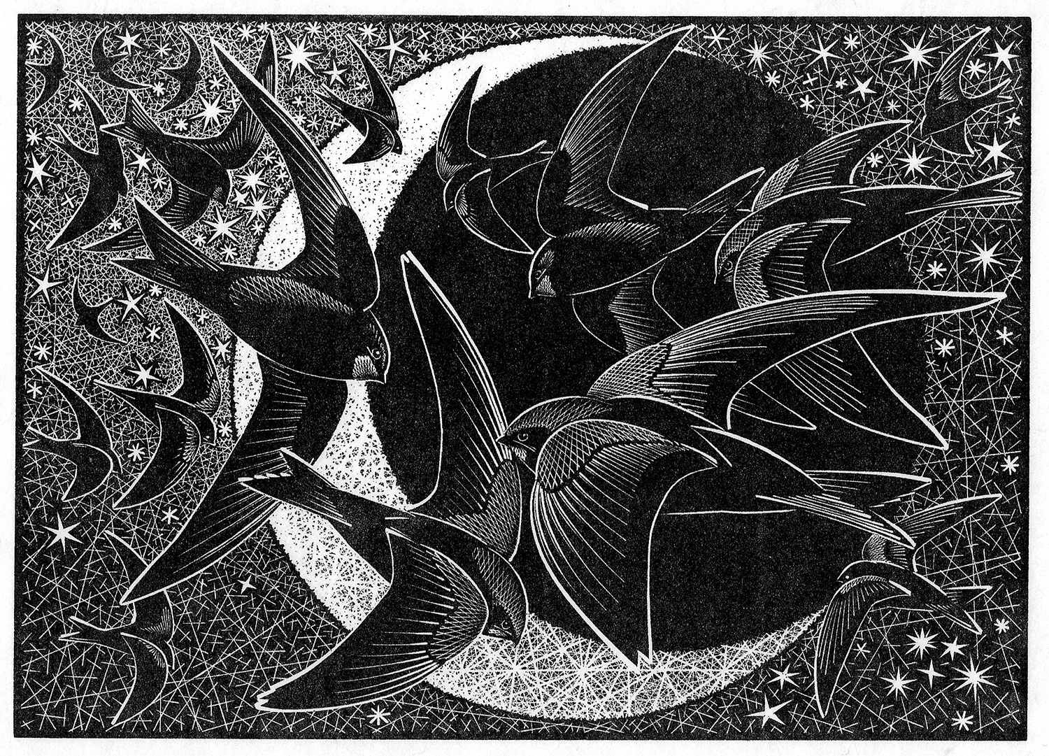 Nocturnal Encounters-Swifts, Stars and Sickle Moon by Colin See-Paynton