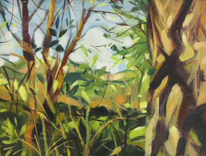 The Hills Beyond the Hedgerow