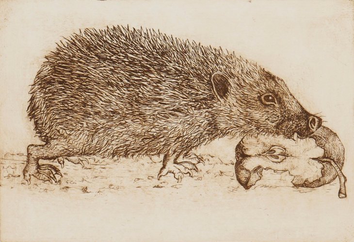 Image of Hedgehog & Apple