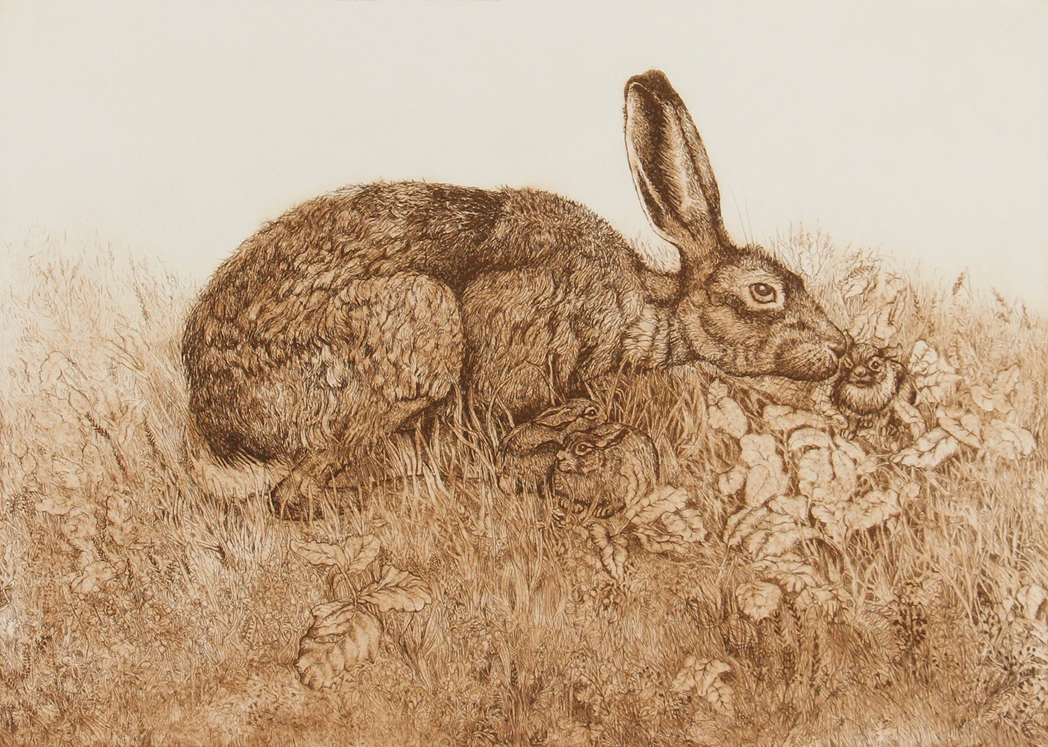 Hare & Leverets (Amblecote) by Anna Ravenscroft
