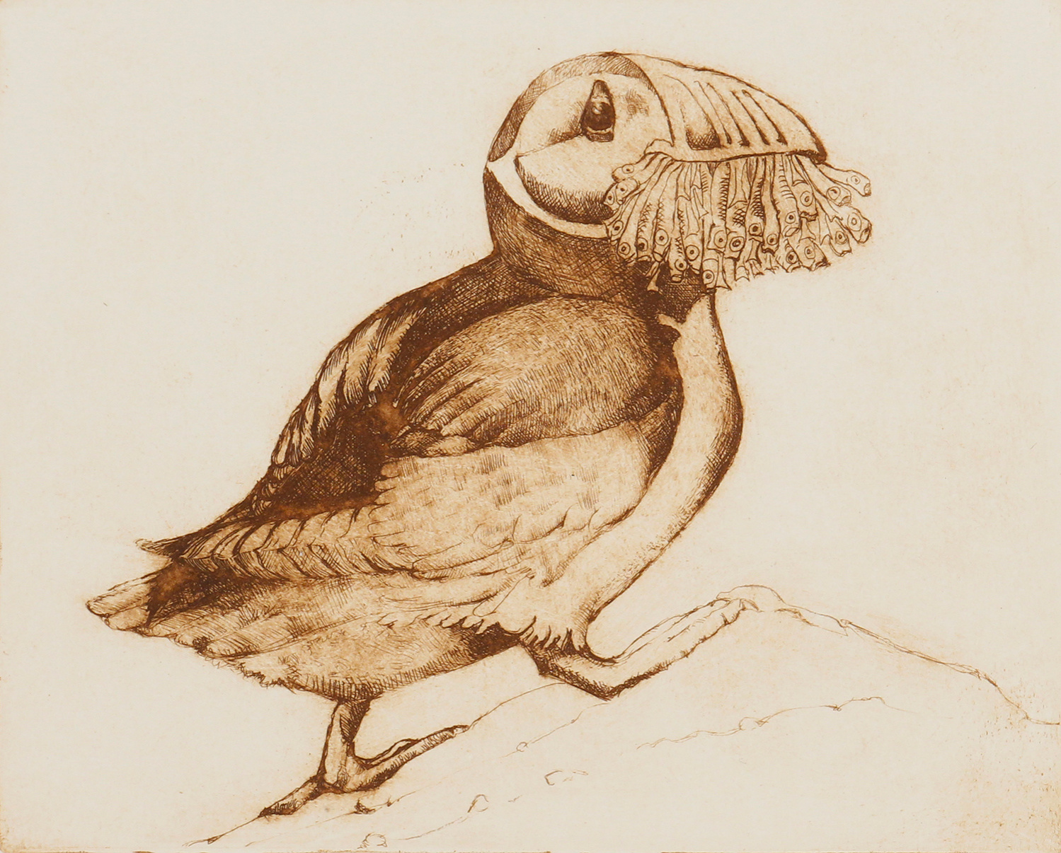 Puffin with Sandeels by Anna Ravenscroft