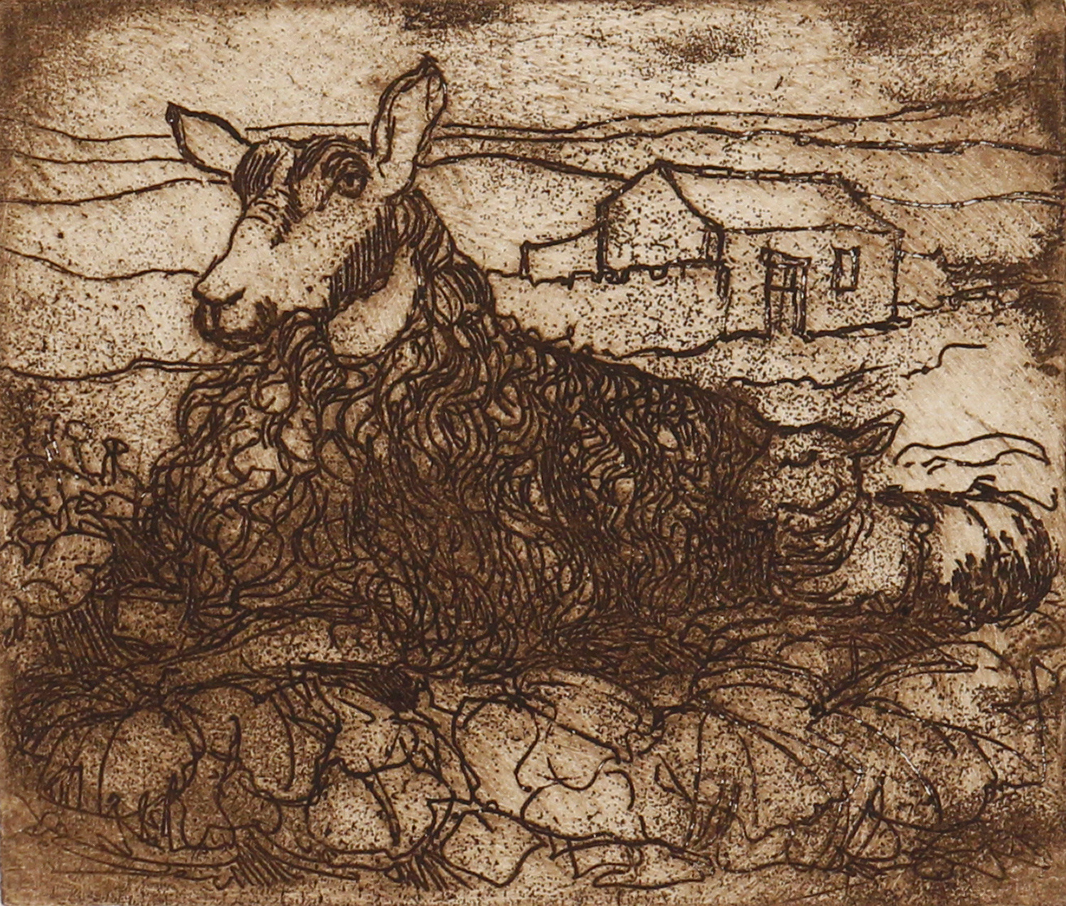 Sheep & Lamb by Anna Ravenscroft