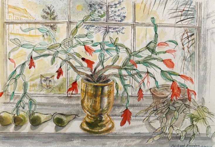 Christmas Cactus