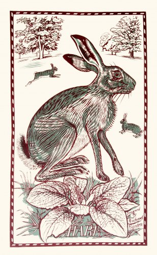 Image of Tea Towel Hare