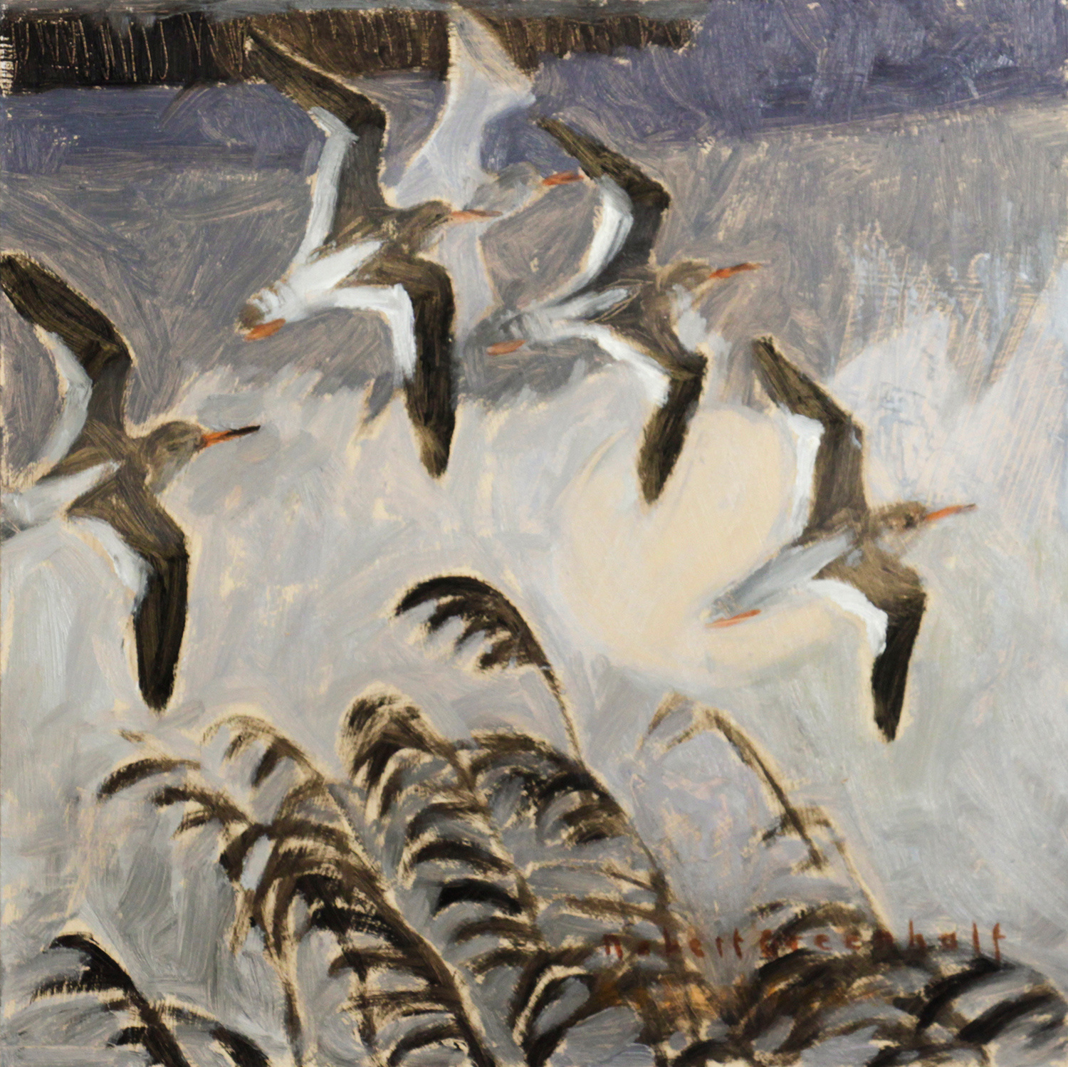 Redshanks by Robert Greenhalf