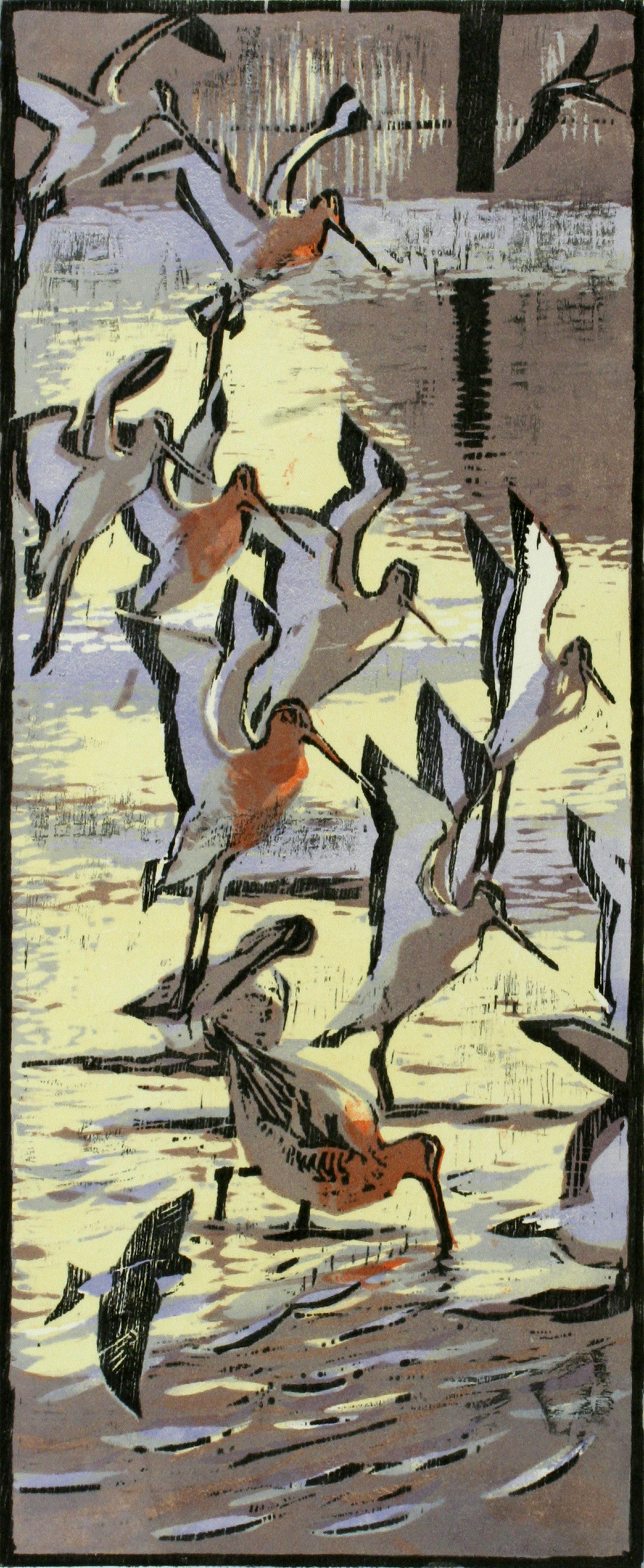 Black Tailed Godwits by Robert Greenhalf