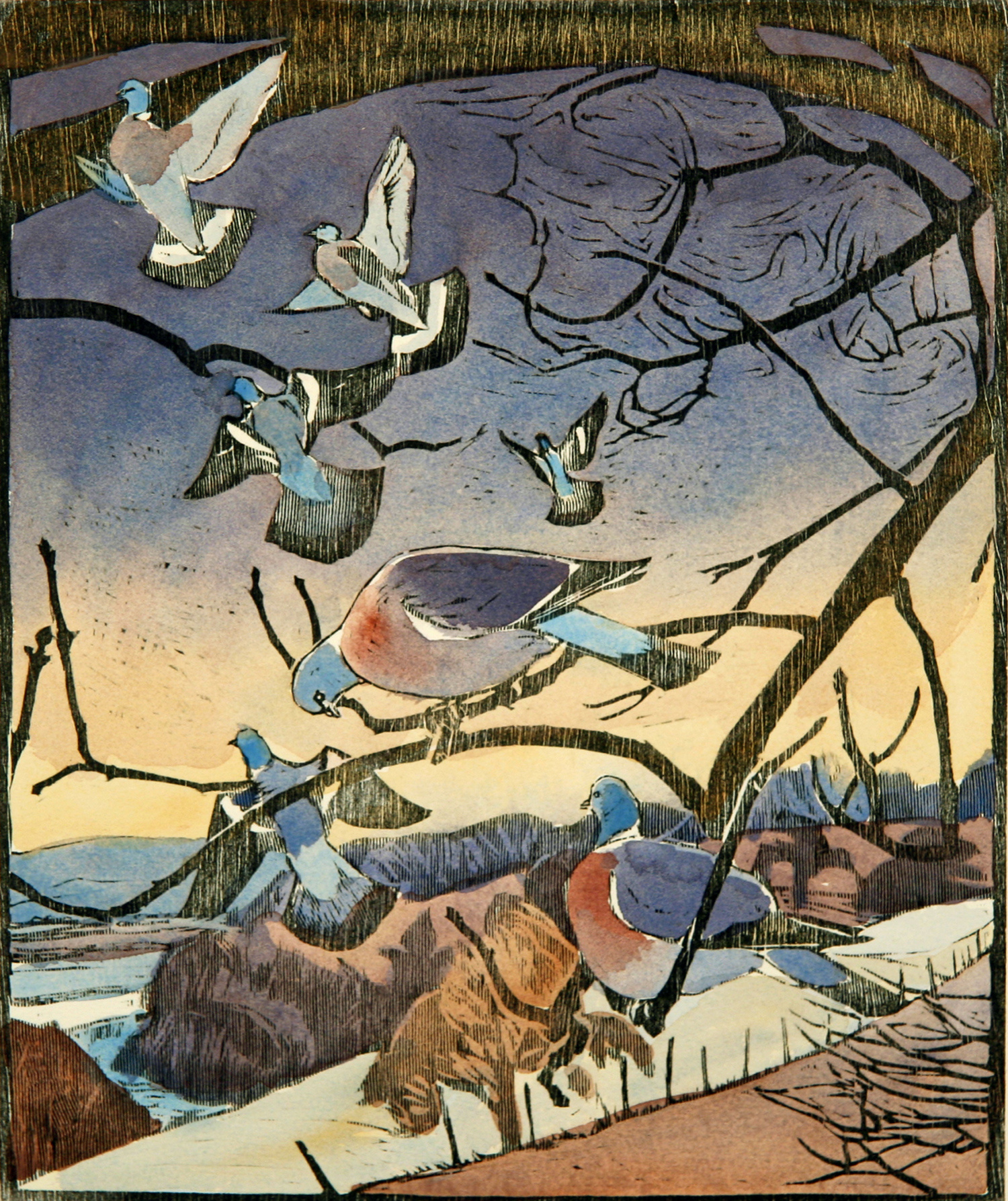 Woodpigeons by Robert Greenhalf