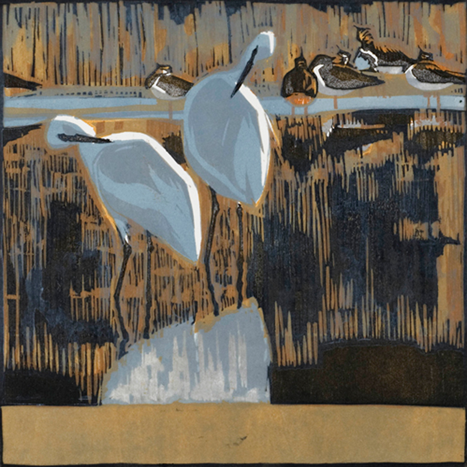 Little Egrets by Robert Greenhalf