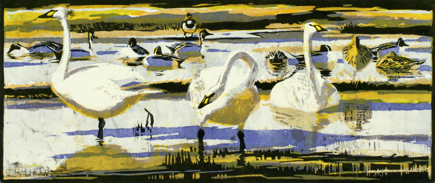 Bewick's Swans & Pintails by Robert Greenhalf